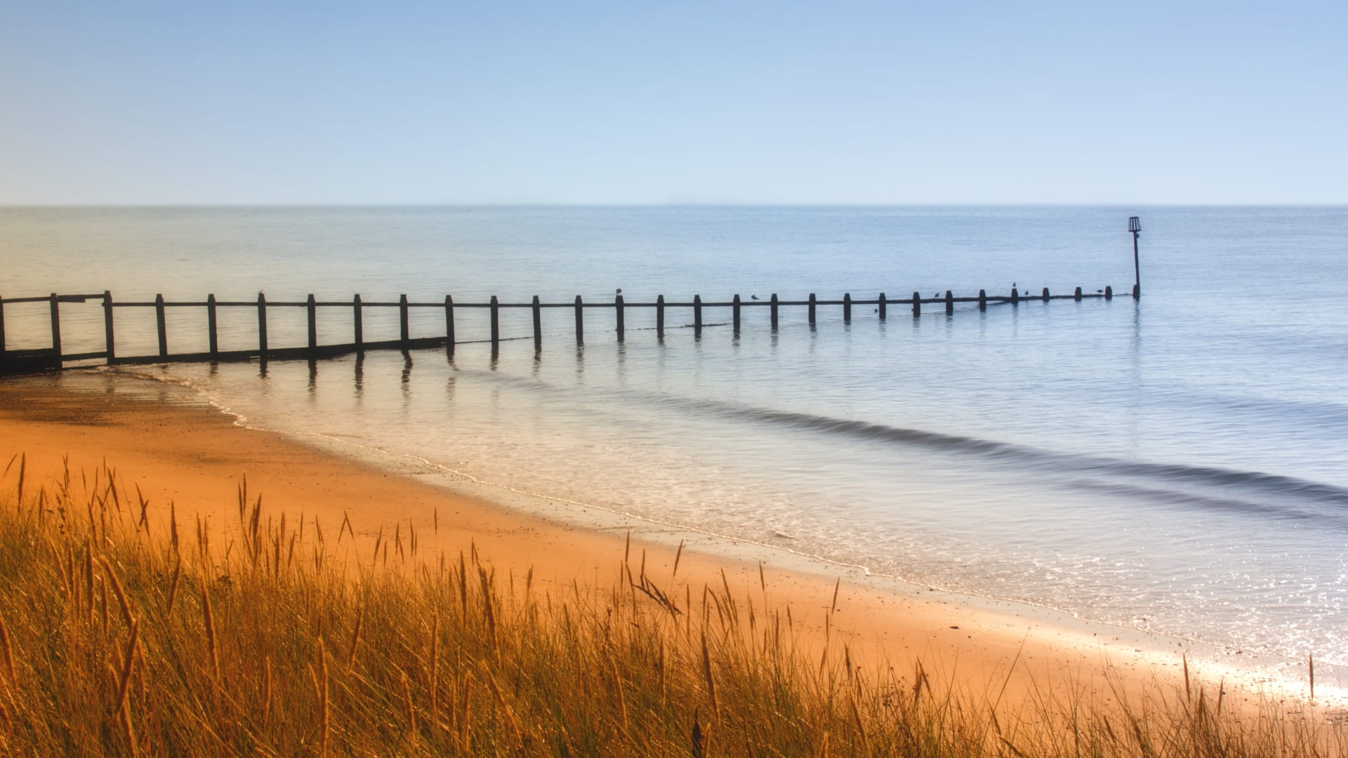 dawlish devon